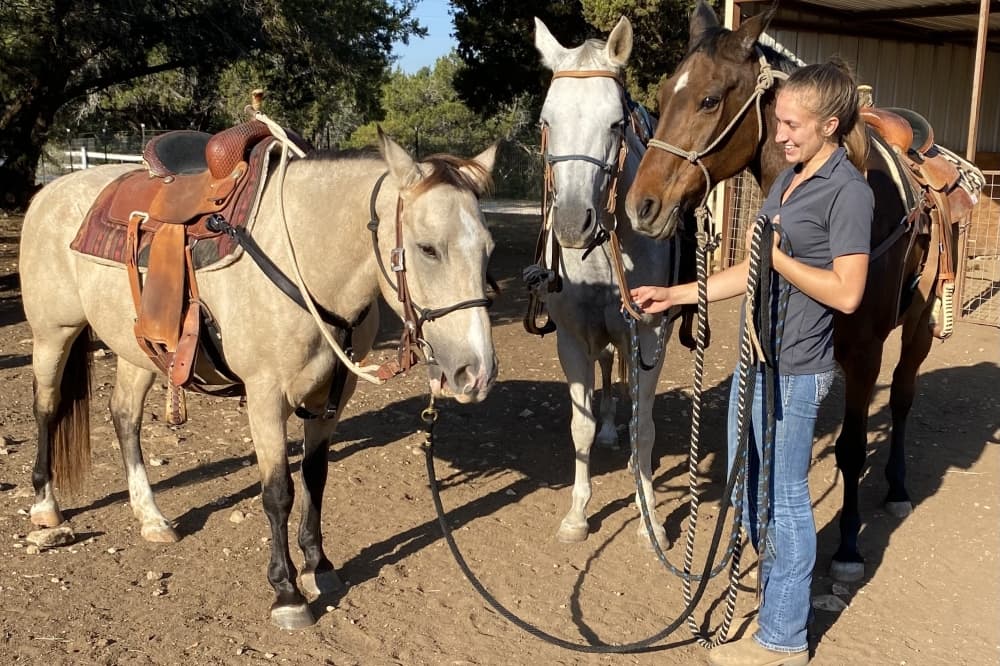 Little Forest Equestrian offering horseback riding lessons, classes in Leander