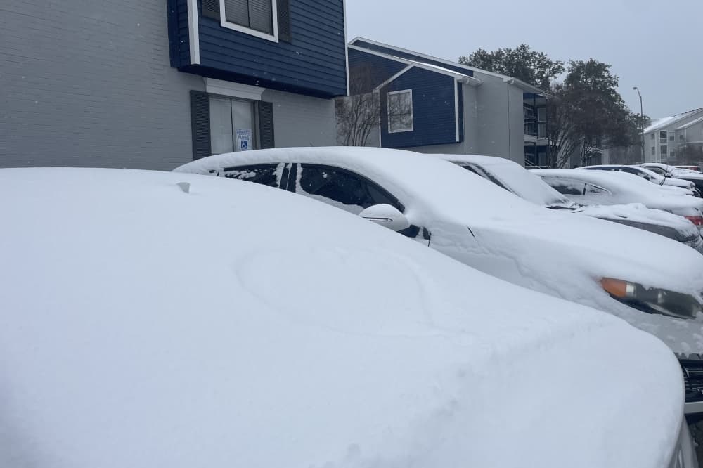 Snow collects on the cars