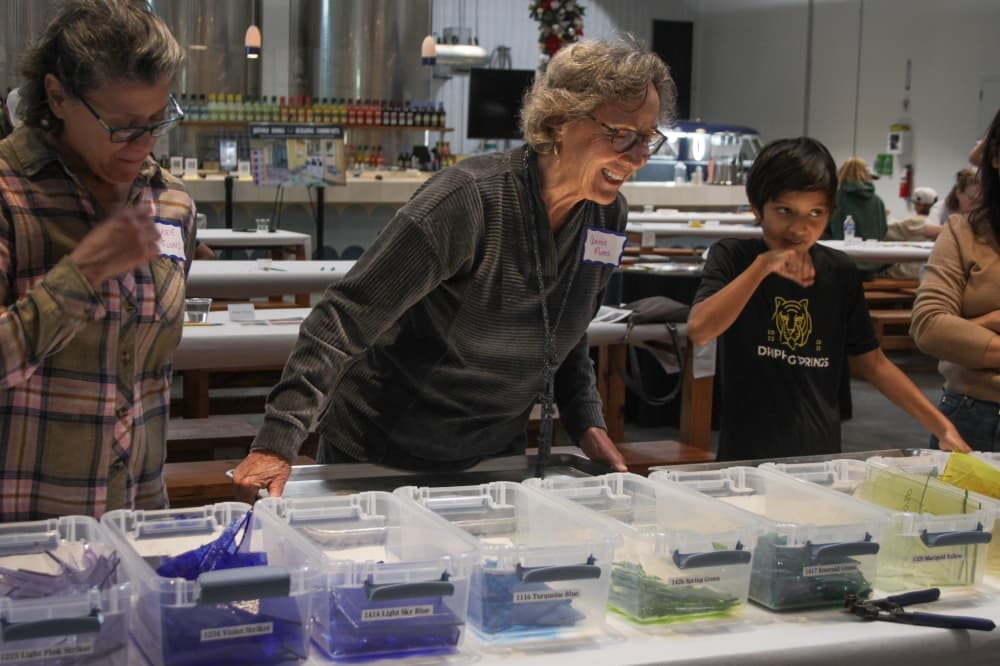Dripping Springs Community Library hosts art event to fundraise $5M for new library