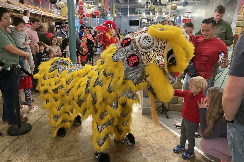 Lunar New Year, Arbor Day: 5 things to do in The Woodlands area this weekend, Jan. 24-26