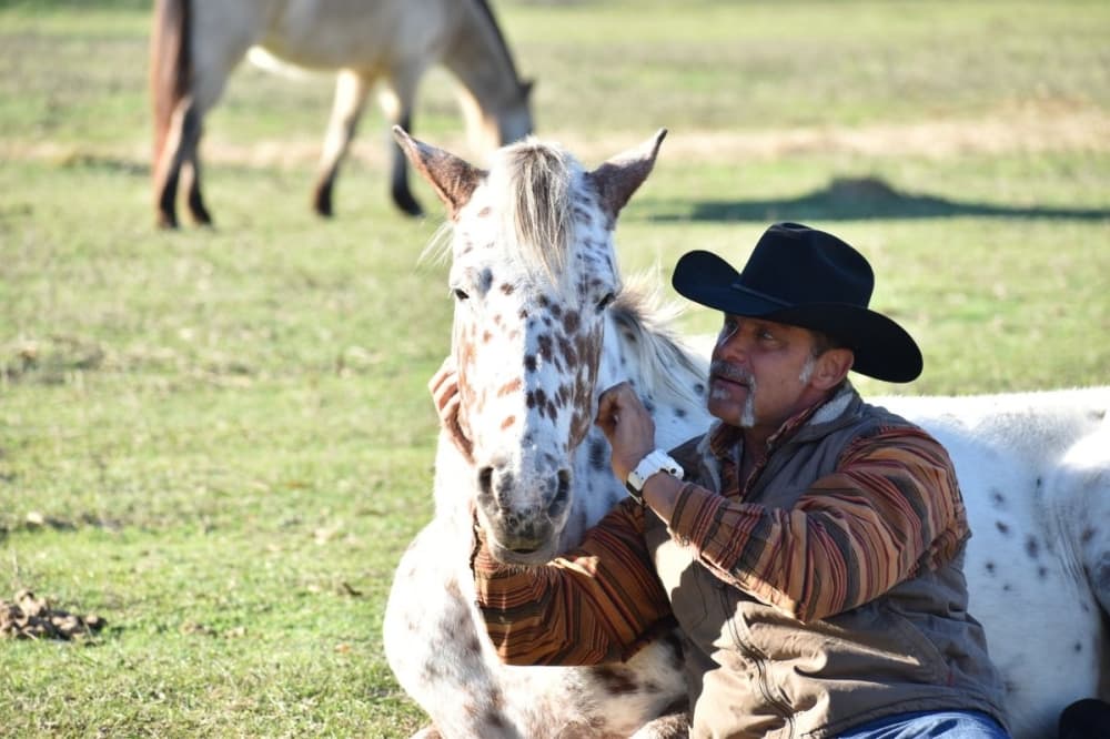 Equine-assisted services find a home in Conroe, Montgomery