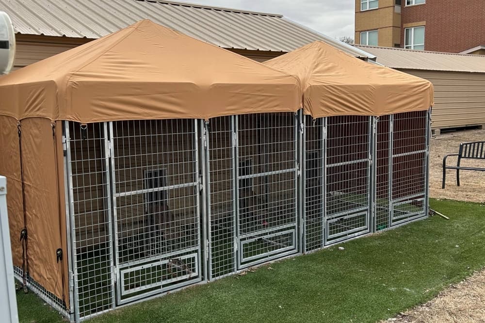 The Samaritan Inn builds kennel for furry residents in McKinney