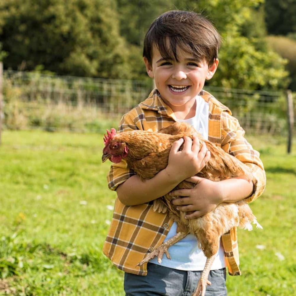 Child holding a chicken. 