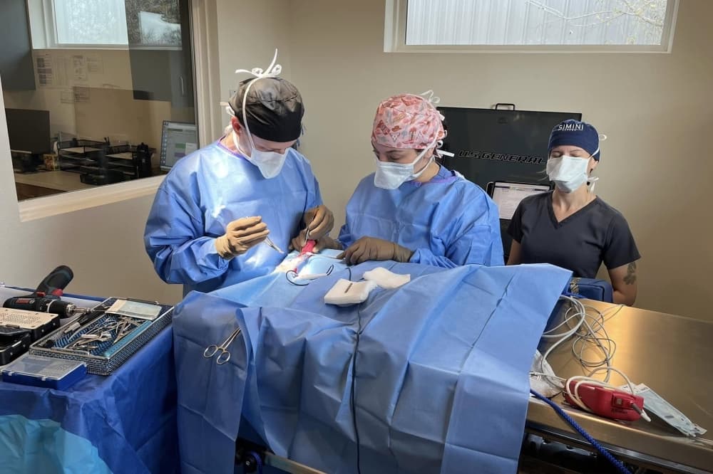 Prestige Animal Wellness now serving Round Rock pets