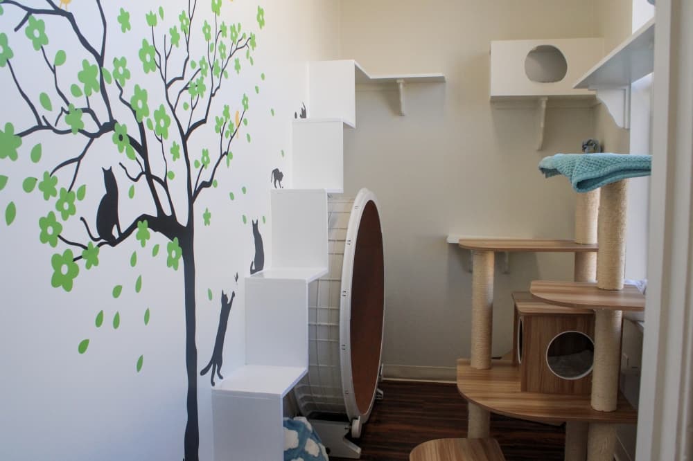 An image of one of the rooms. 
