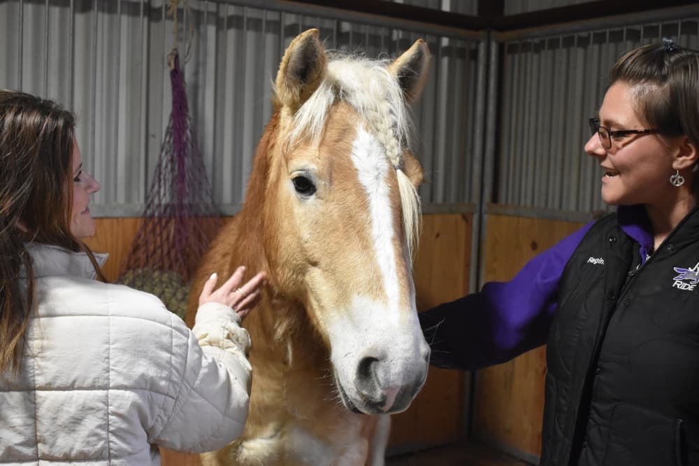 Equine-assisted services find a home in Tomball, Magnolia