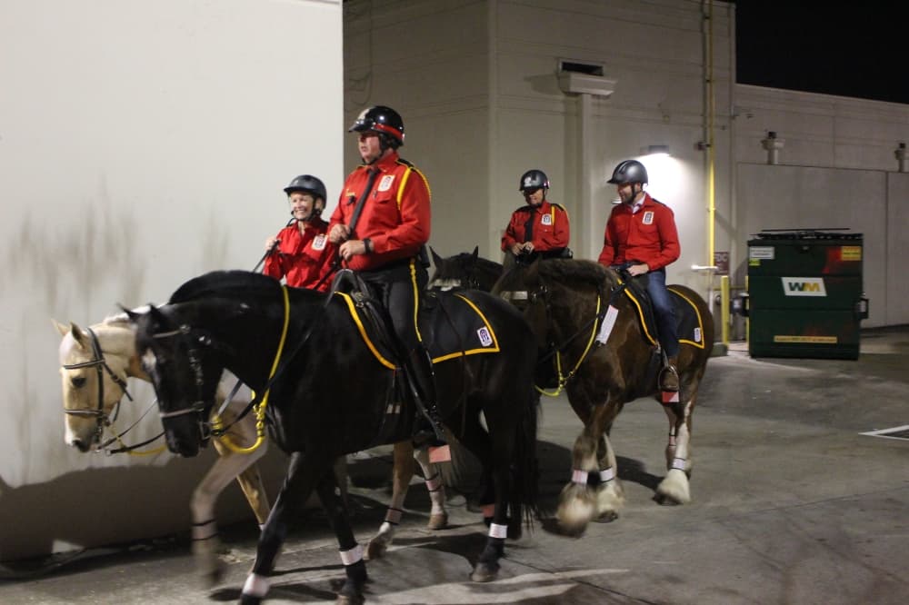 mounted patrols