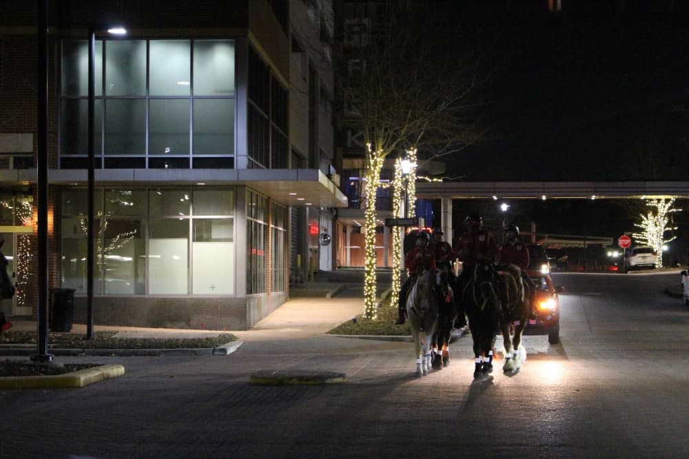 mounted patrols