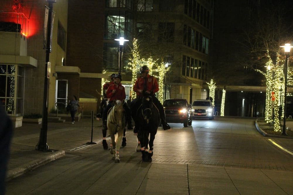 mounted patrols