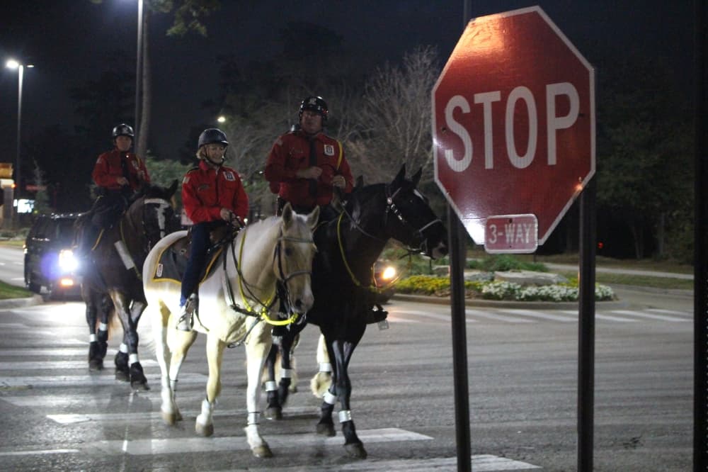 mounted patrols