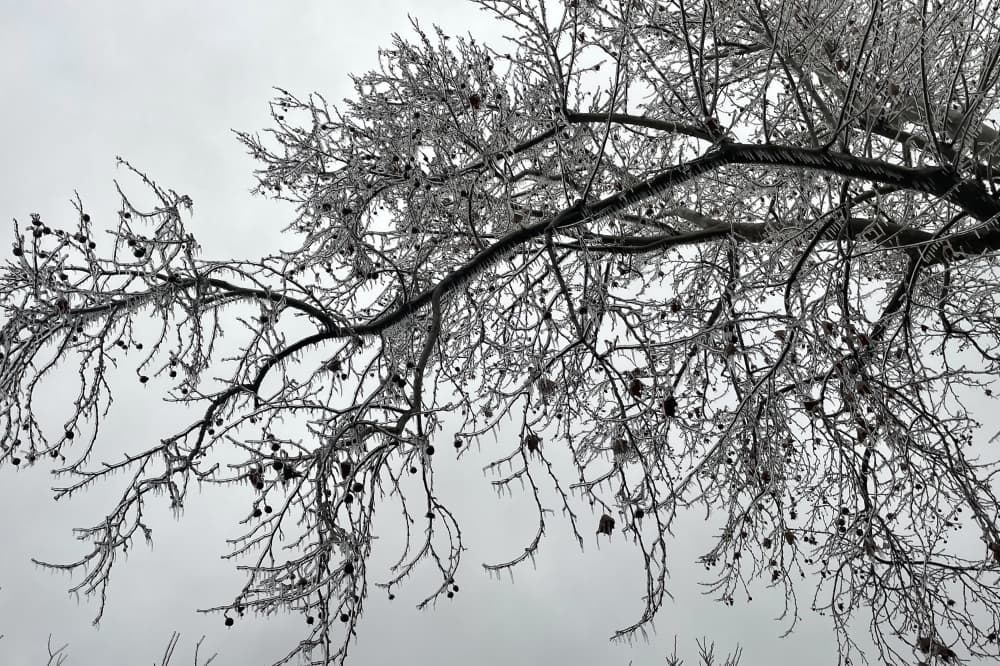 14 warming centers available in Fort Bend County amid cold weather