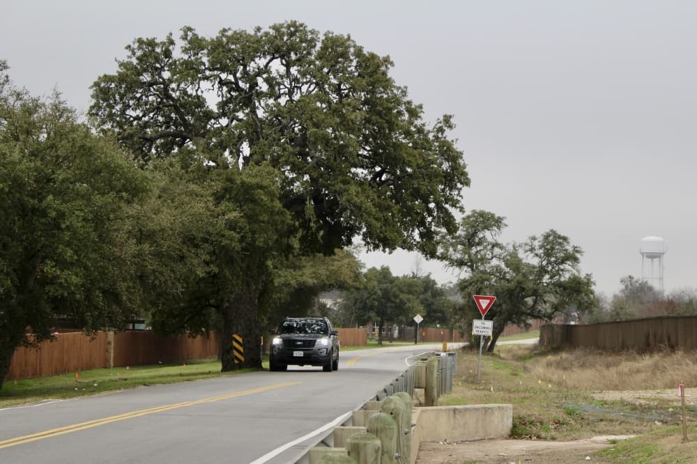 A photo of a car passing a large tree
