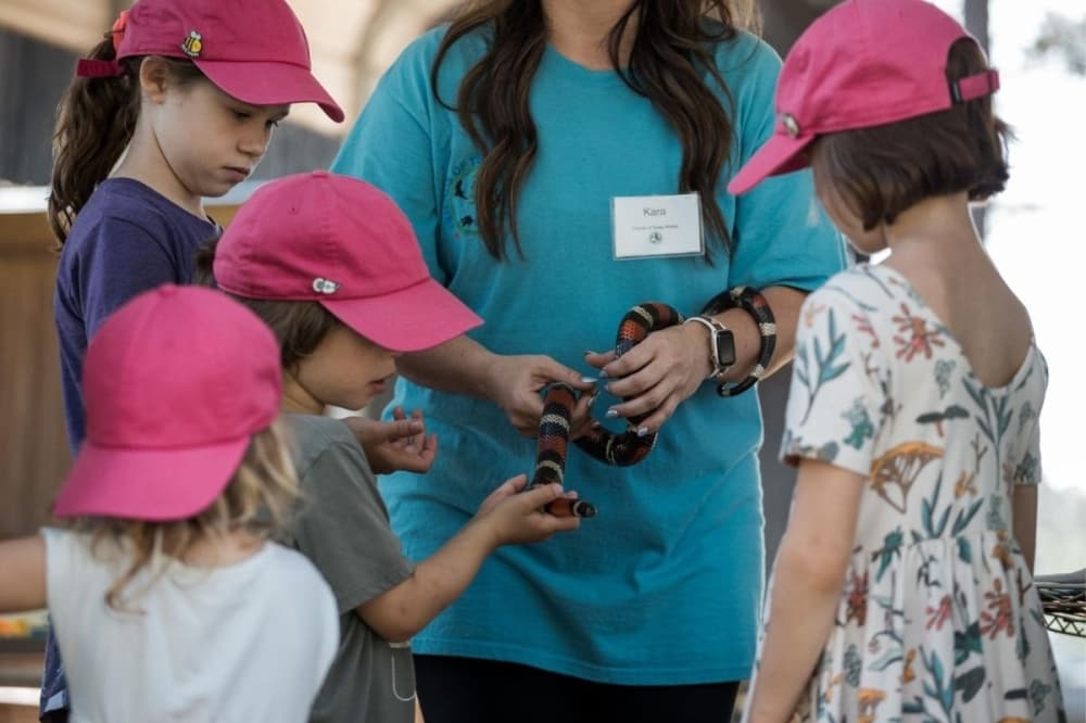 Friends of Texas Wildlife will have three summer camp sessions in June. (Courtesy Friends of Texas Wildlife)