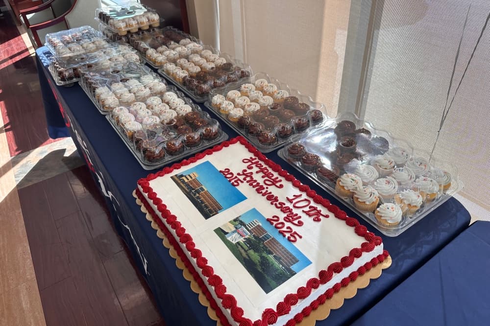 Cake and cupcakes