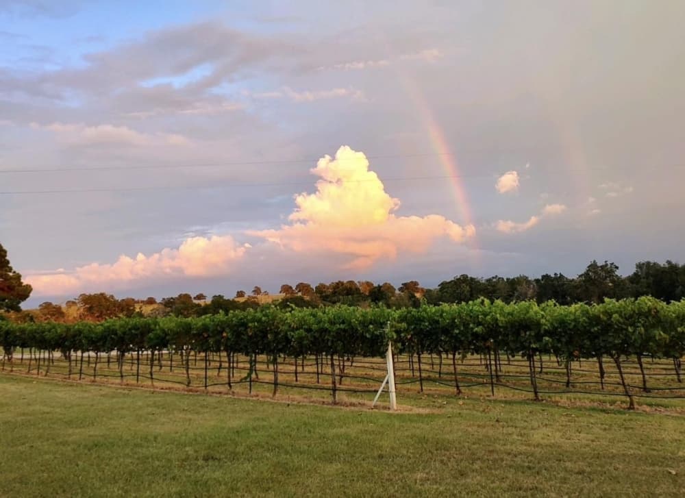 The patio is shown at the vineyard.