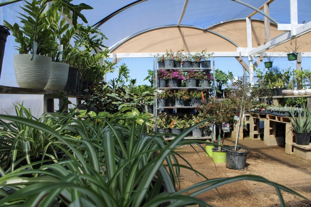 Barryhill Garden Center cultivates space for Leander’s new and seasoned gardeners