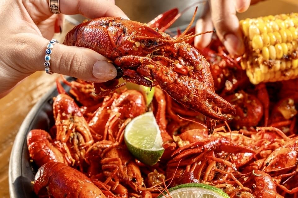 Mambo Seafood coming soon to Willowbrook area