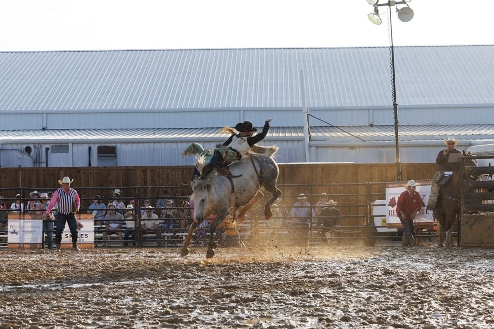 Celina Rodeo saddles up for second year at Southfork Ranch