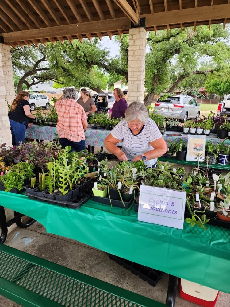 An image of the plants at a previous sale. 