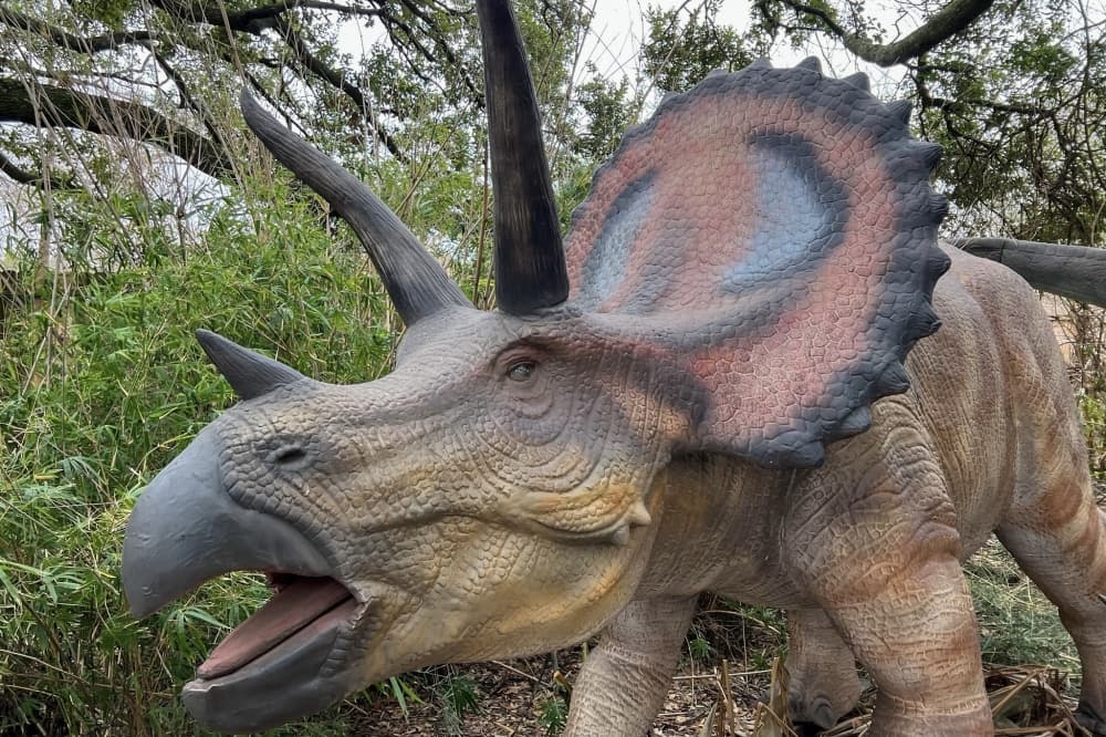 Houston Zoo to welcome 60 new dinosaurs in upcoming spring exhibit