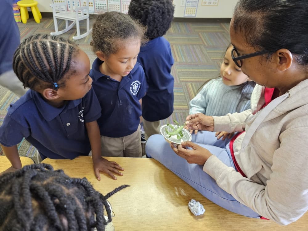 Stonehill Christian Academy fosters a culture of learning, faith and service