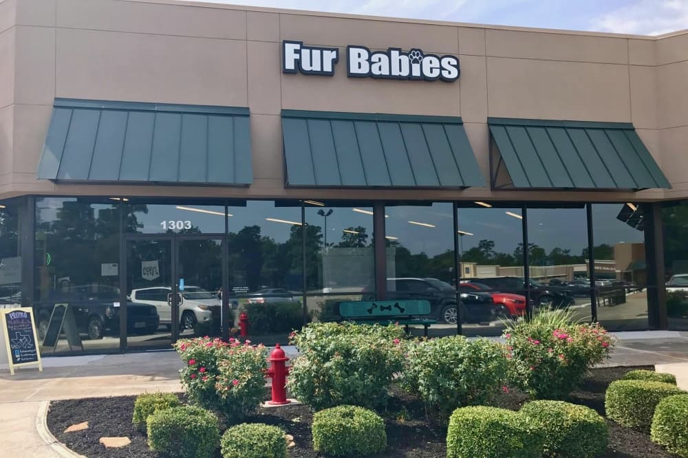 Fur Babies Boutique & Nutrition to host 20th anniversary celebration in Kingwood