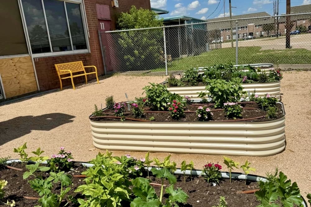 garden beds