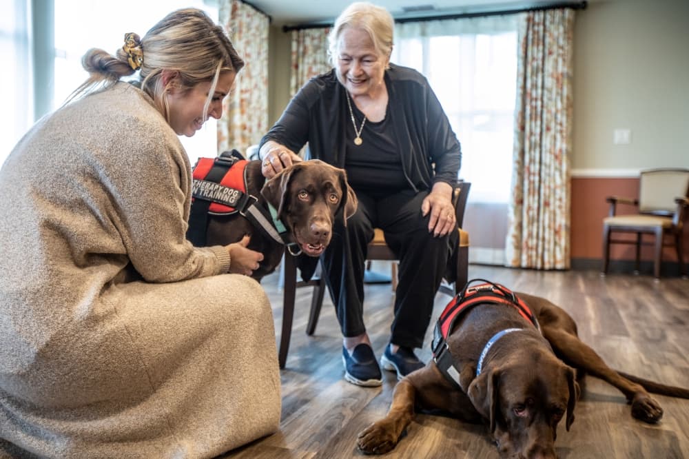 Creating meaningful moments: How Grand Living at Georgetown’s LUMINATIONS program enhances memory care