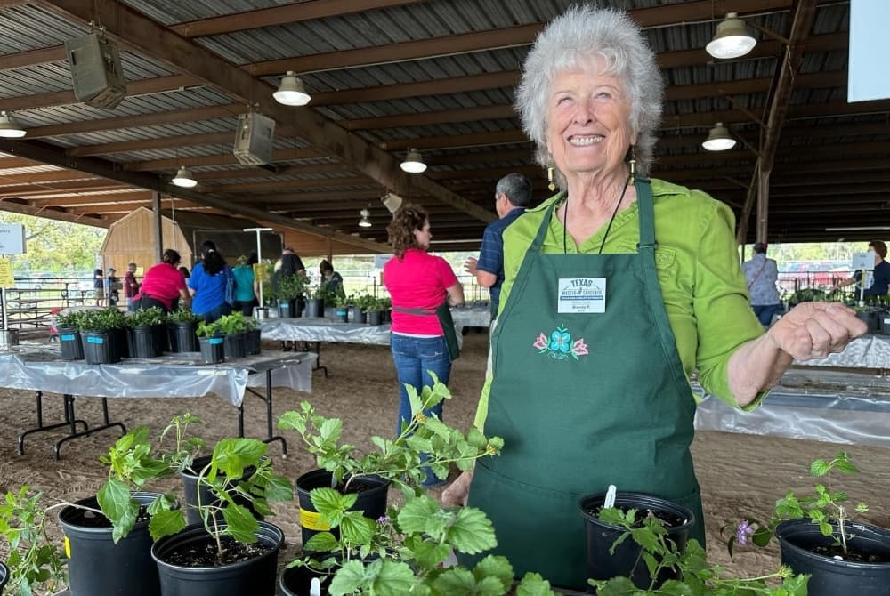 A volunteer poses near a table of plants at the fall plant sale.