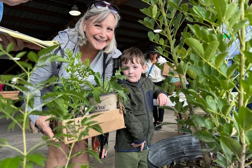 Refresh gardens with unique finds at the Bastrop County Master Gardeners' spring plant sale