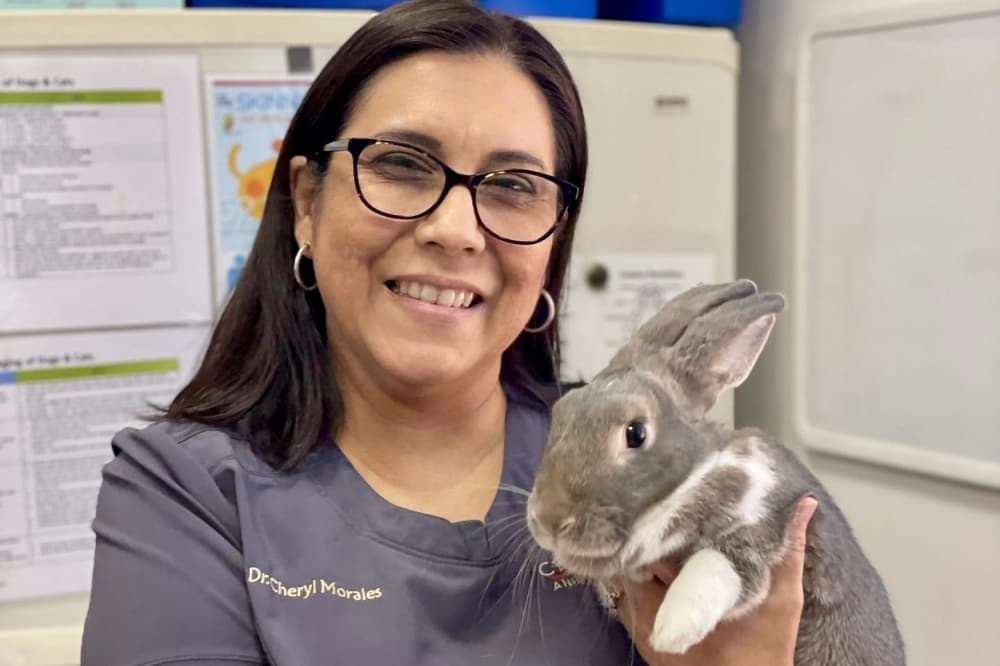 Cypress Lakes Animal Hospital offers specialized care for exotic, domestic animals