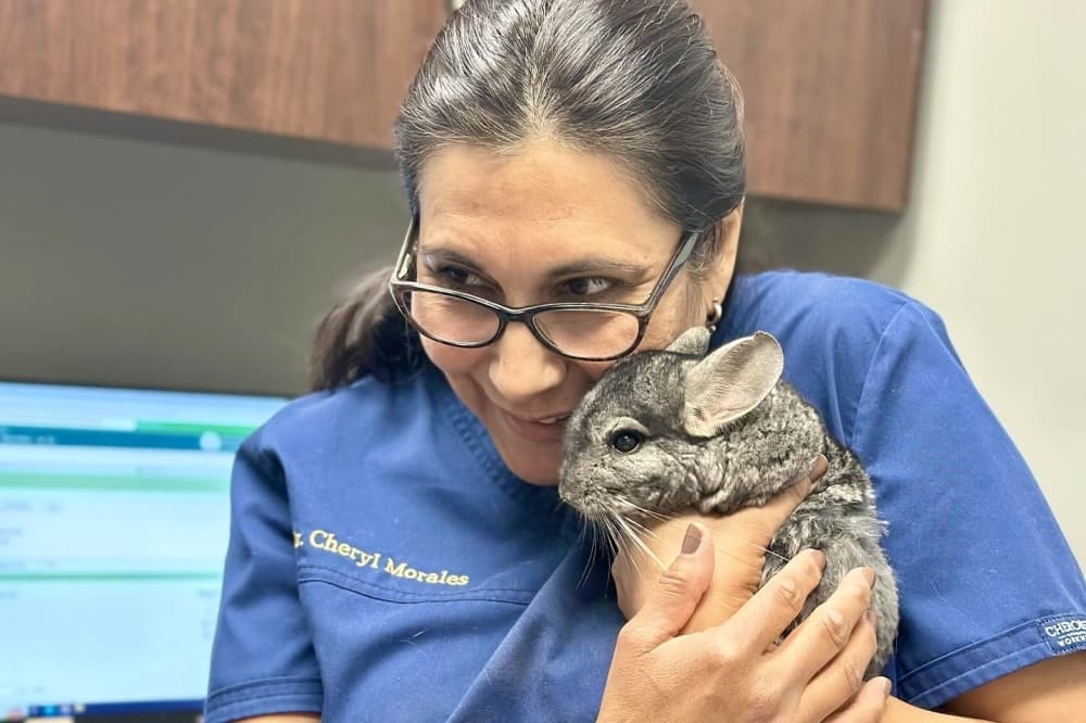 owner with rodent