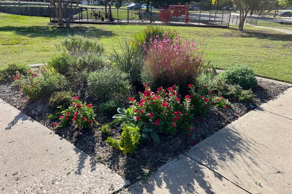 Frisco Garden Club cultivates beautification, educational programs