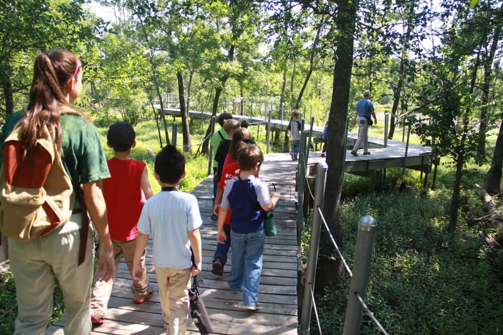 Check out 20 summer camp options in McKinney