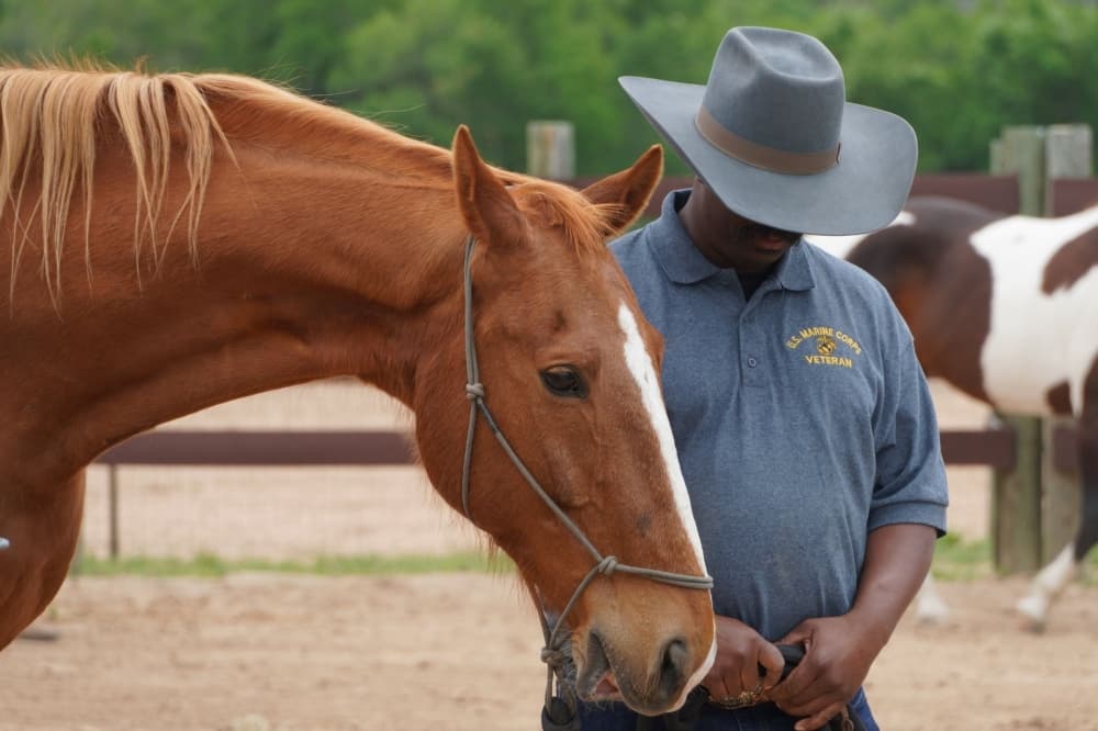 A Vietnam Veteran wearing a grey cowboy hat bows his head while bonding with his horse.