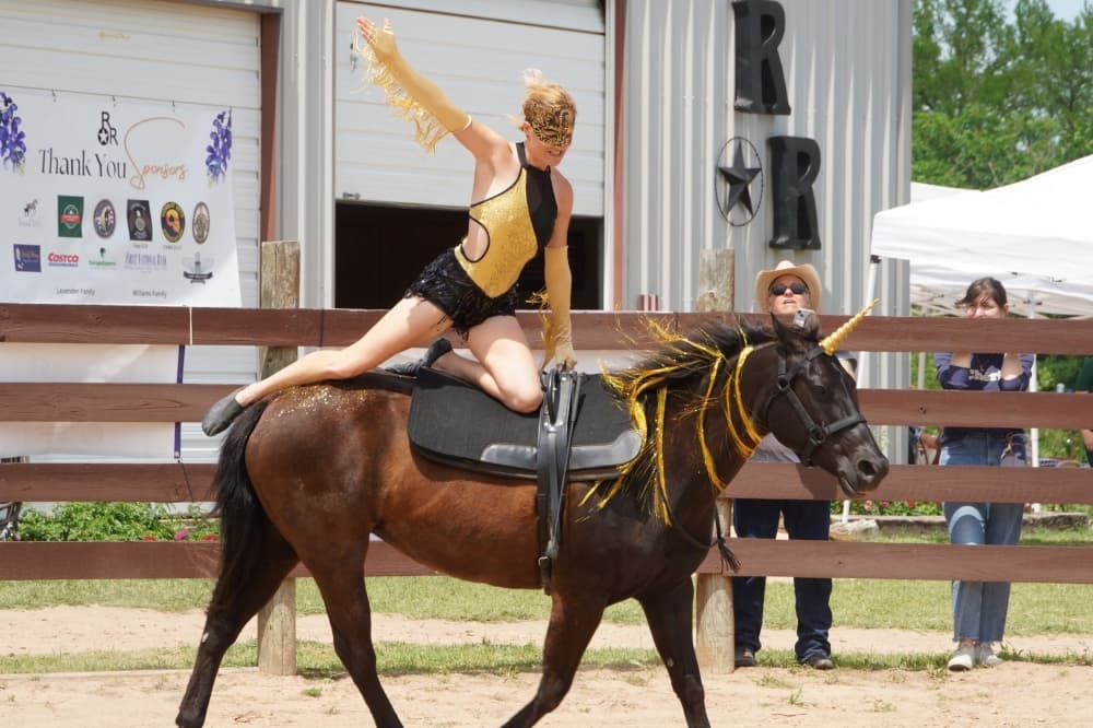 The horse trainer wearing a gold and black outfit and mask while performing and her horse is dressed as a unicorn.