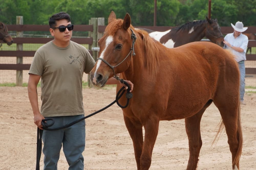 A veteran works with his horse.
