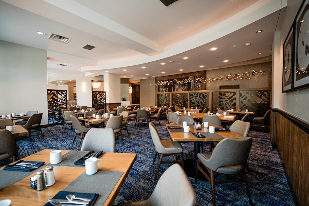 5 businesses in The Woodlands area that recently opened, renovated, changed ownership