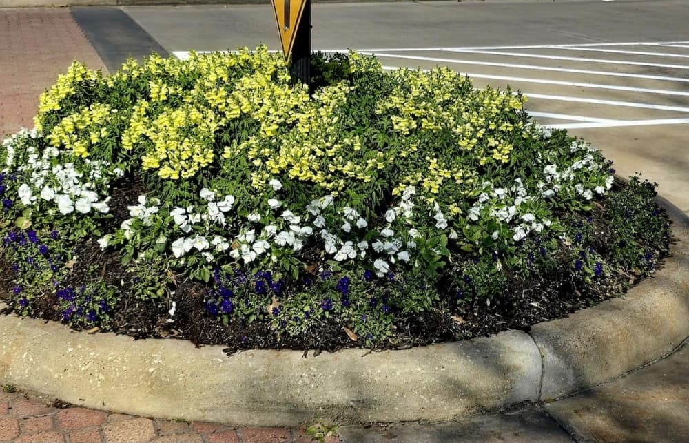 In Season Landscaping now serving Greater Houston area