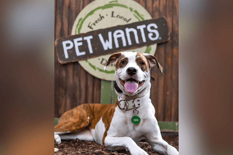Pet Wants to open a clean pet food, grooming store in Trophy Club in April