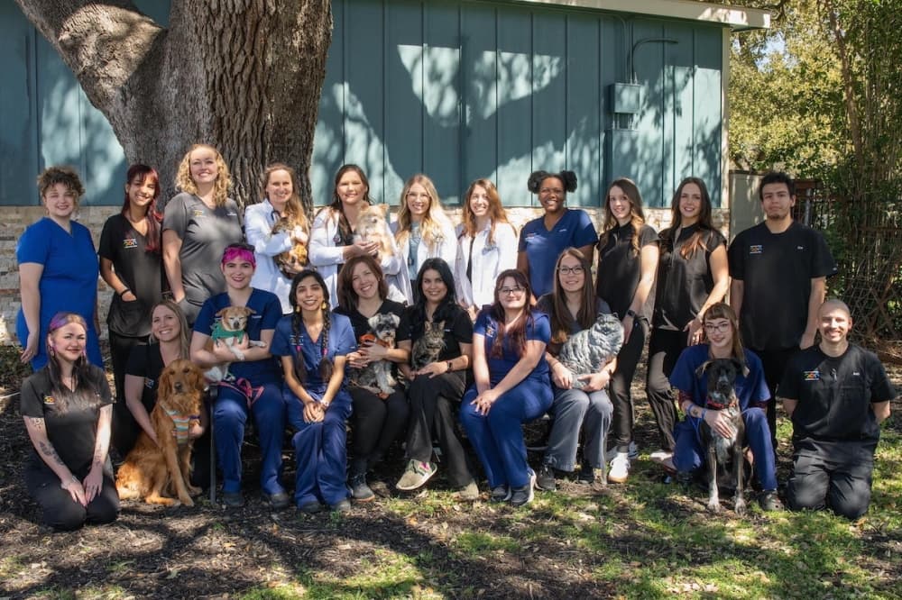 Manchaca Village Veterinary Care celebrating 50 years in South Austin