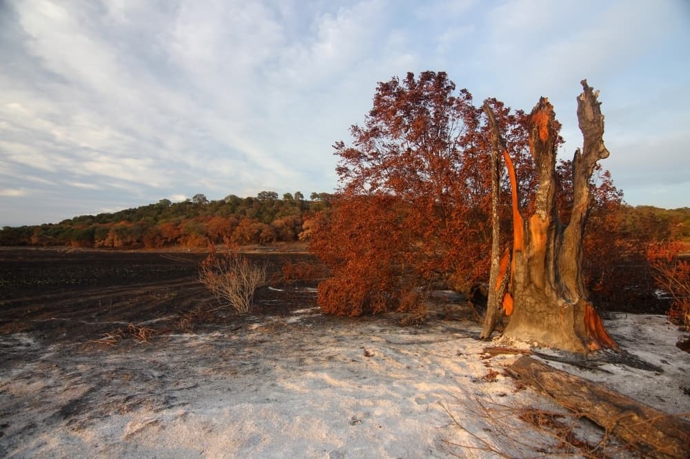 Williamson County commissioners issue burn ban March 25