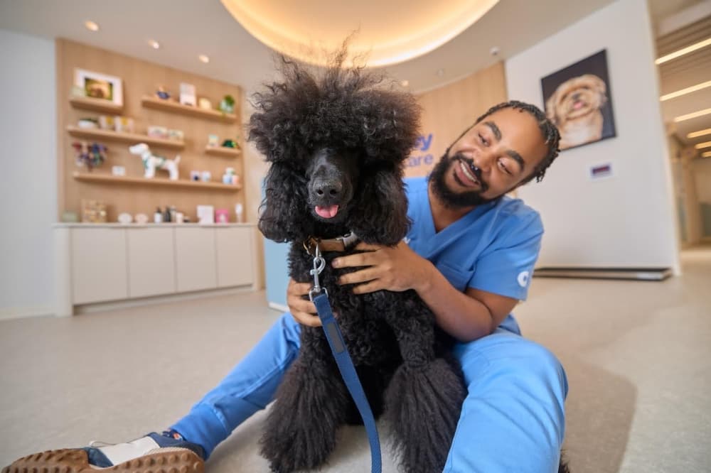 Chewy Vet Care sets opening date in Cinco Ranch
