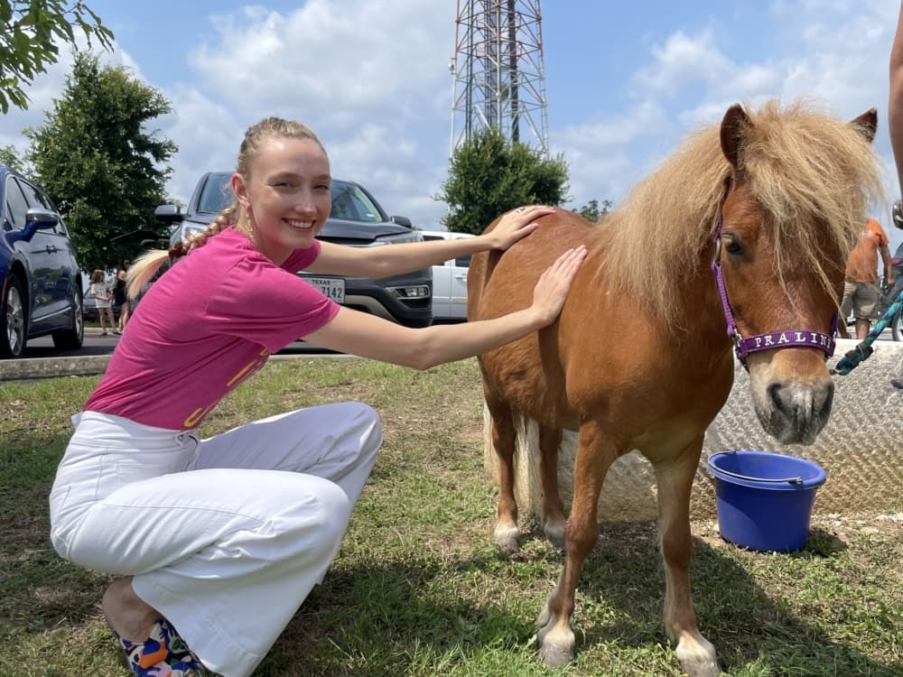 girl petting mini horse