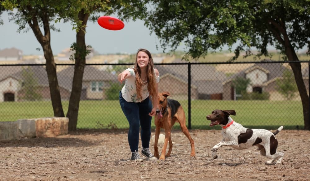 Sunfield: A growing community where comfort meets connection