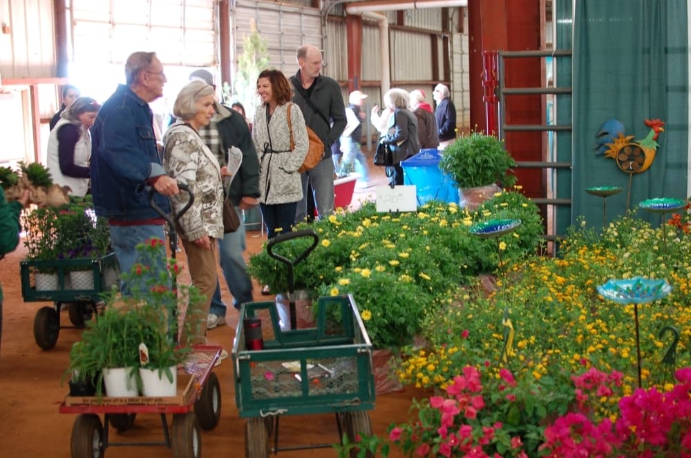 The Collin County Master Gardeners Plant Sale will be held April 26 at the Myers Park and Event Center in McKinney. (Courtesy Collin County Master Gardeners Plant Sale)