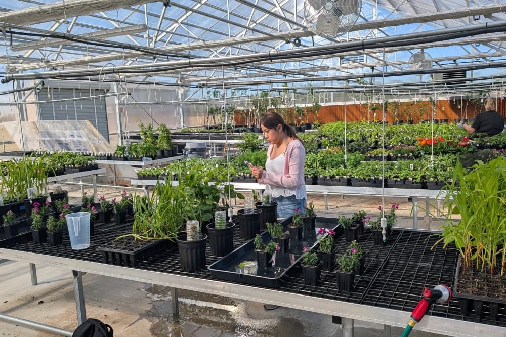 Houston Community College-Katy opens greenhouse for agricultural sciences students