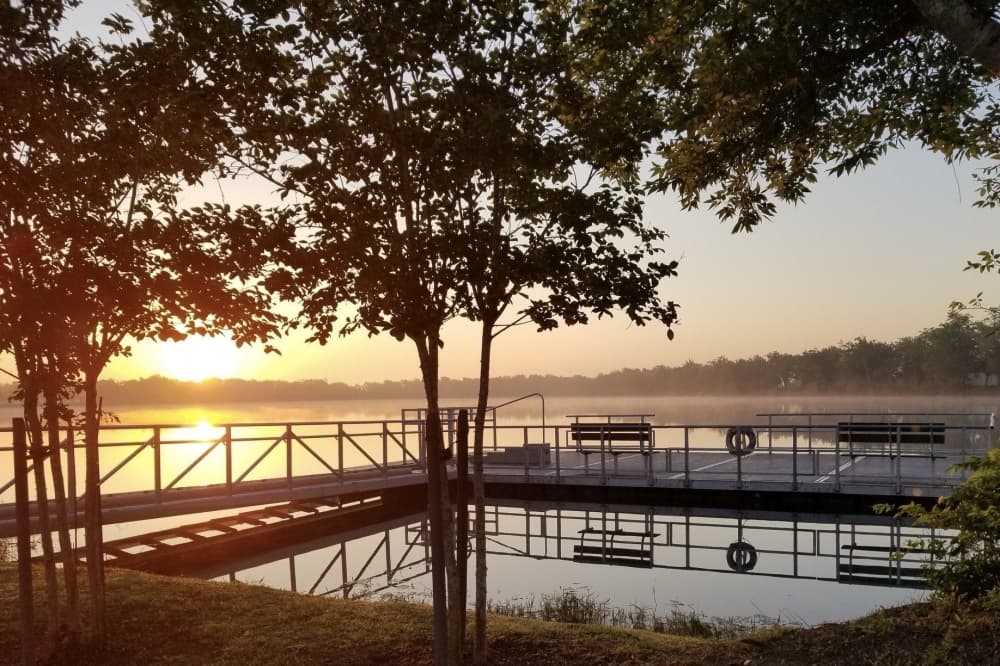 The boardwalk at Lake Friendswood Park reopens after repairs