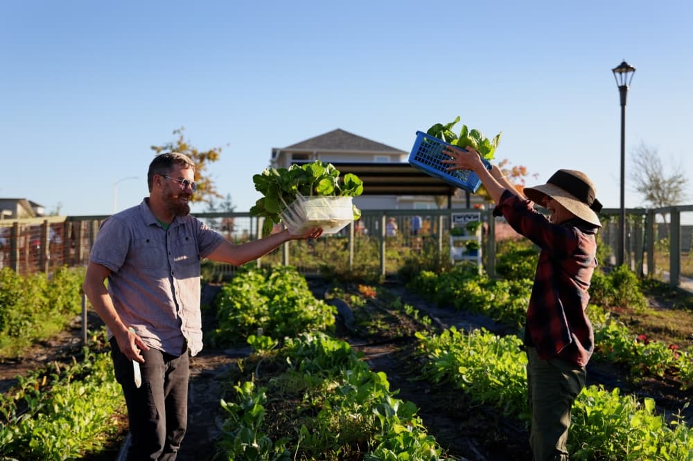 Discover how Whisper Valley pioneers green communities, slashes energy costs by up to 70%