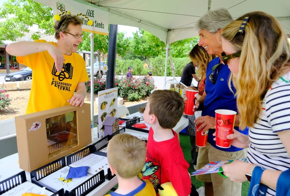 Here’s what to know about Bee Cave's 4th annual Books and Bees Festival